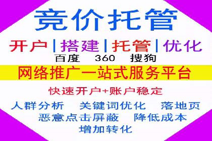 成功案例解析：SEO与SEM协同营销策略